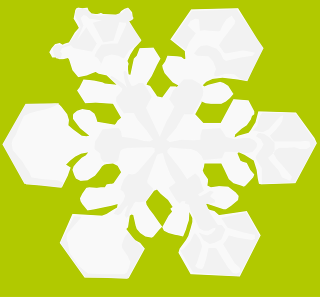 Free snow snowflake water vector