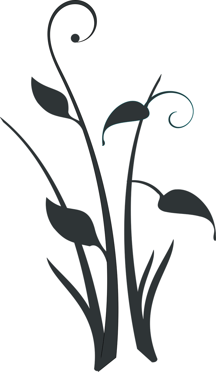 Download free HD stock image of Flower Leaves Free flower leaves beautiful flowers vector