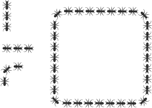 Free ants insects organized vector