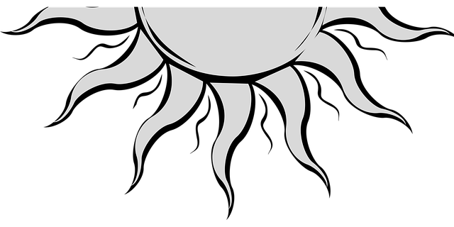 Free sun sunlight summer vector