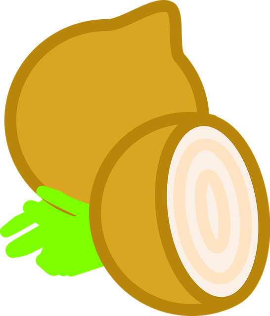 Free onion healthy vegetable vector