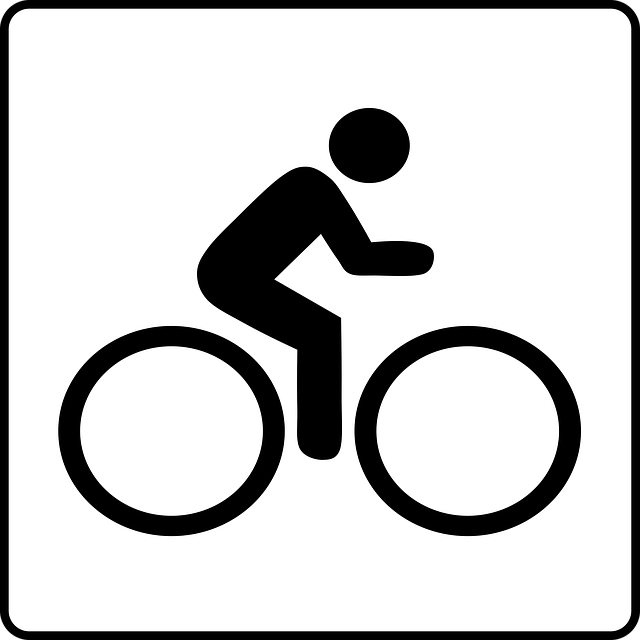 Free bike sports transportation vector