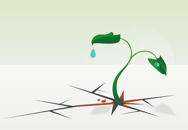 Free resistance survive nature vector