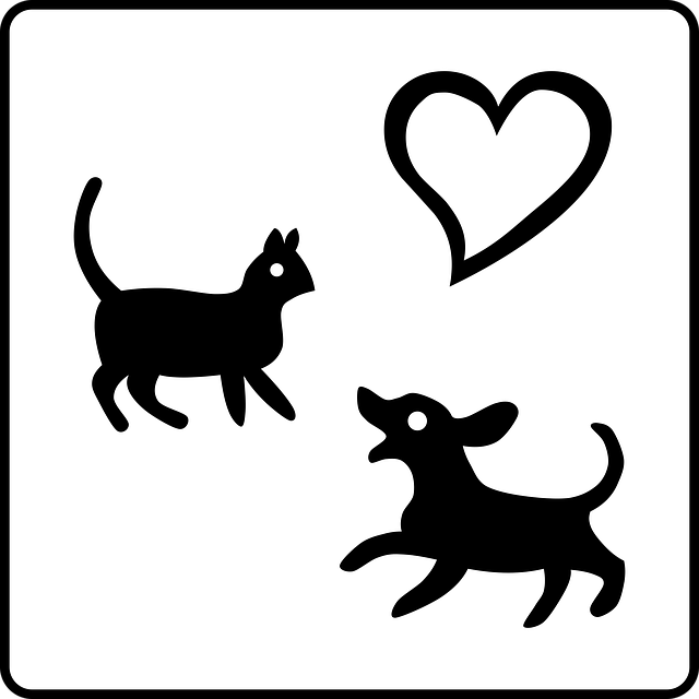 Free cat dog nature vector