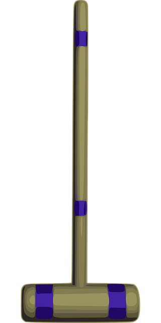 Free croquet mallet game vector