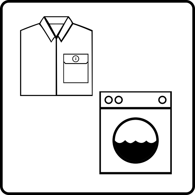 Free hotel laundry services vector