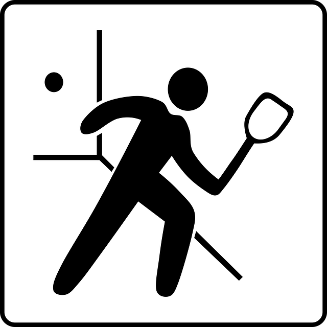 Free squash sports racket vector