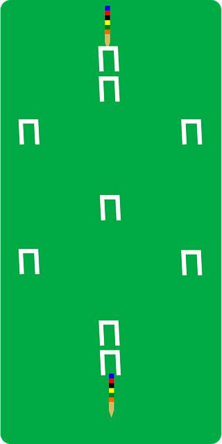 Free croquet field pitch vector