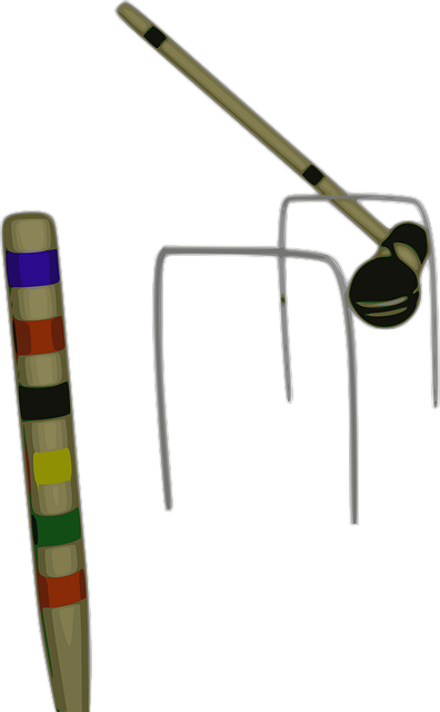 Free croquet mallet hoop vector