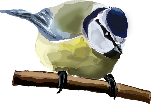 Free sparrow bird animal vector