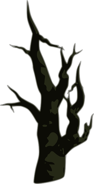 Free Tree Dry vector and picture