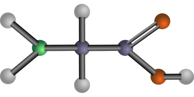 Free glycine amino acid biology vector