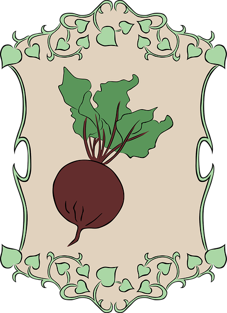 Download free HD stock image of Beetroot Nature Free beetroot nature garden vector