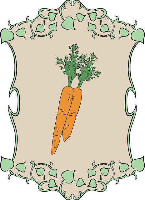 Karotte, Garten, Natur, Gemüse