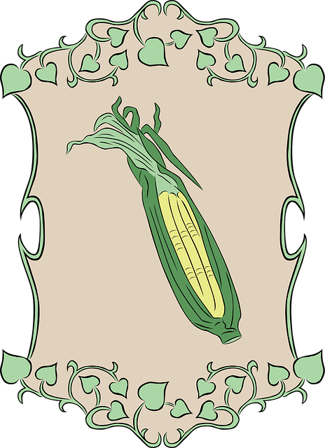Free corn maize garden vector