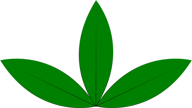 Free ecology nature plant illustration