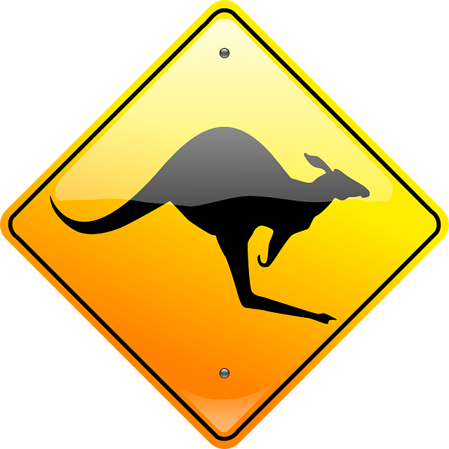 Free kangaroo australia aussie vector
