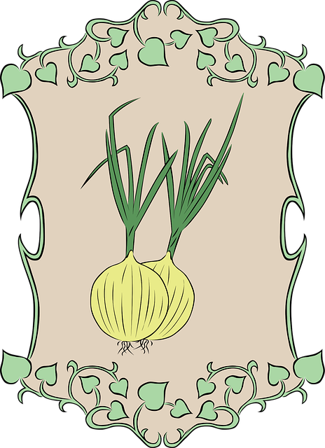 Free onion nature garden vector
