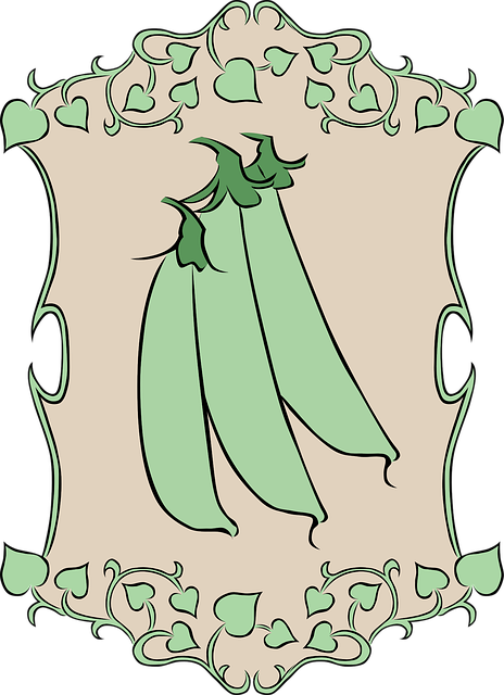 Free peas garden nature vector