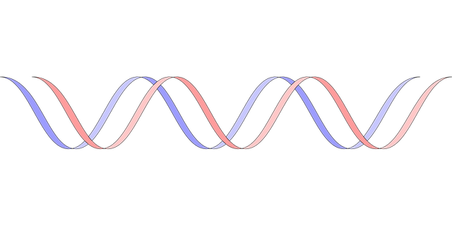 Free dna gene genetics vector