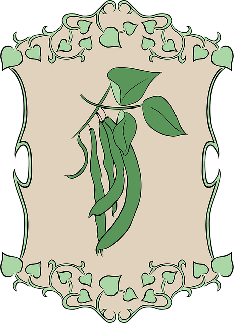 Free bean nature garden vector