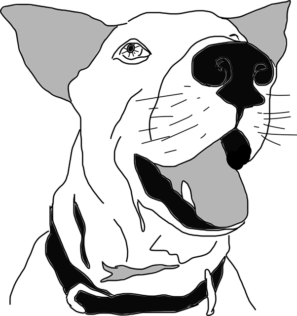 Free dog hound pet vector