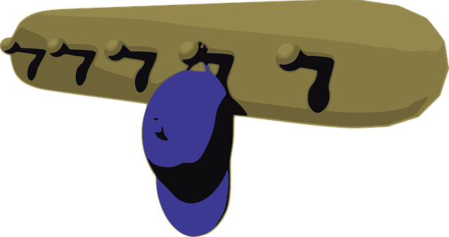 Free hat rack cap hat illustration