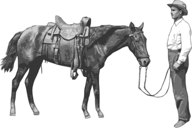 Free cowboy nature horse vector