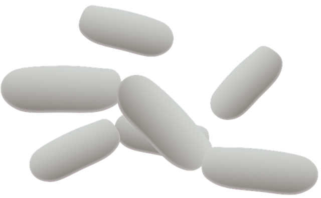 Bacterieën, Bacteriën, Bacterie, Cellen