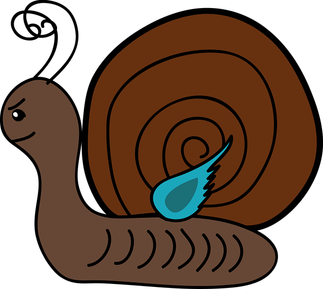 Free snail gastropod univalve vector