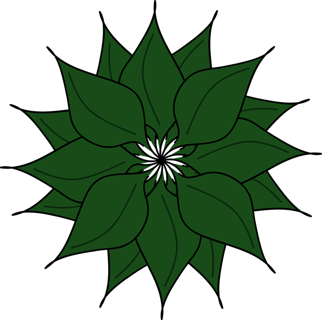 Plantelor, Frunze, Flori Fundal, Floare