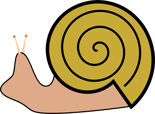 Free grapevine snail slug snail vector