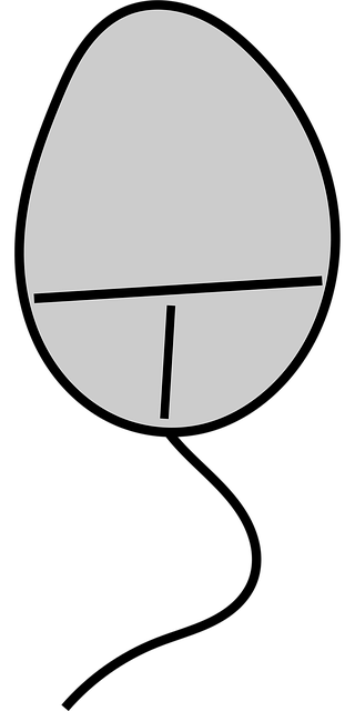 Computer, Mus, Periferiudstyr, Enhed