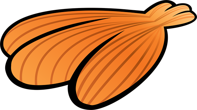 Free seashell beach environment vector