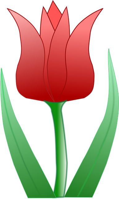 Free tulip beautiful flowers flower background vector
