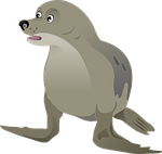 seadog, seal, grey