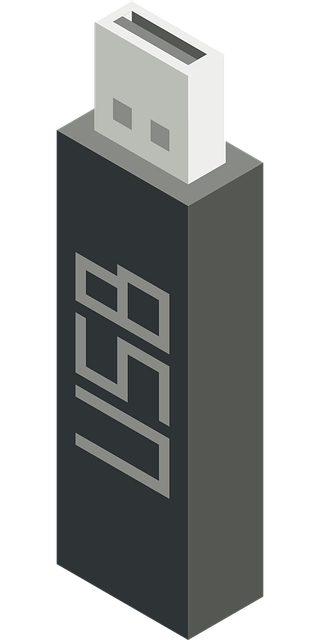 Free usb storage device vector