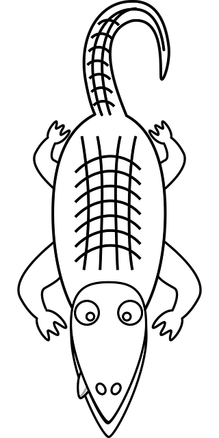 Free alligator reptile crocodilian reptile vector