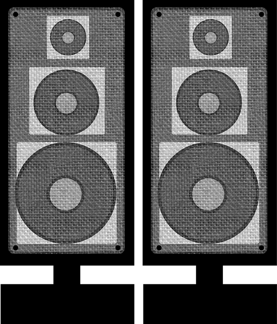 Free audio acoustics speaker vector