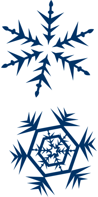 Free crystals snowflakes symmetry vector