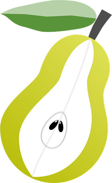 Free pear fruit cut vector