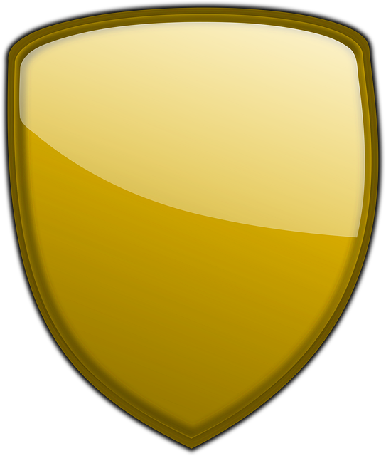 Free shield protection gloss vector