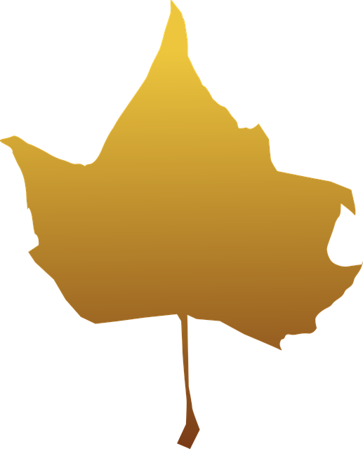 Free maple autumn leaf vector