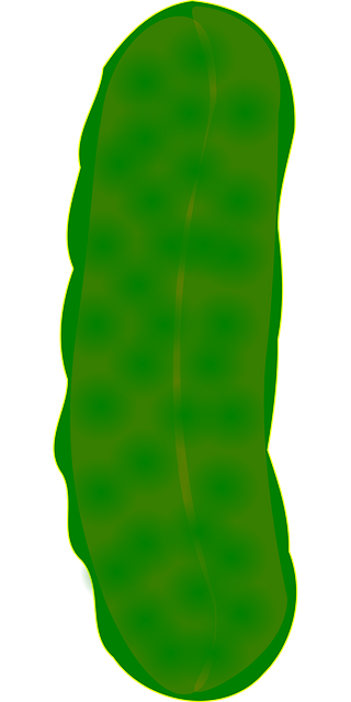 Free cucumber dill food illustration