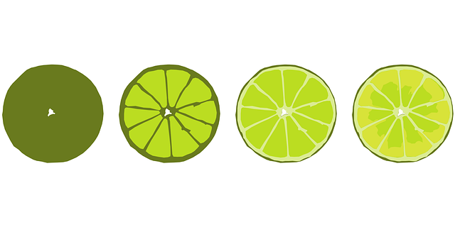 Free lime citrus food vector