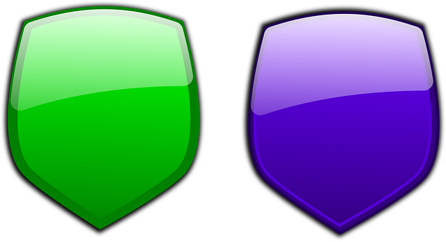 Free shields protection armor vector