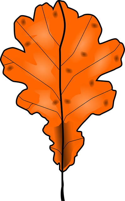 Free foliage leaves autumn vector