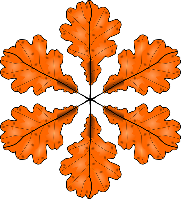 Free foliage leaves autumn vector