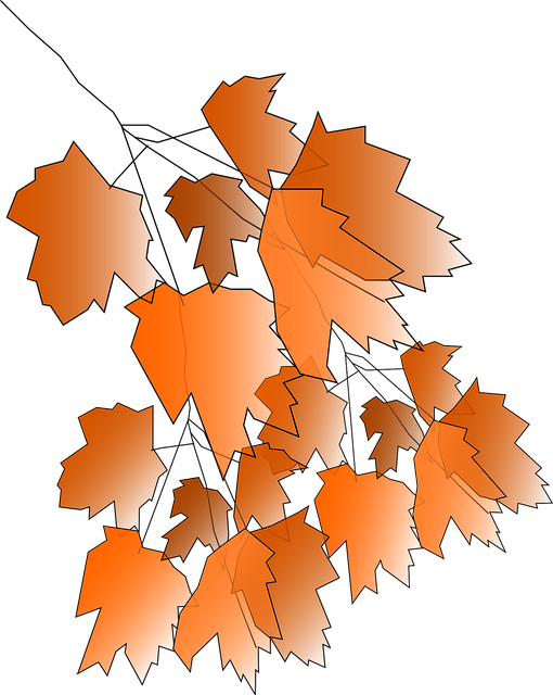 Free maple foliage leaves vector