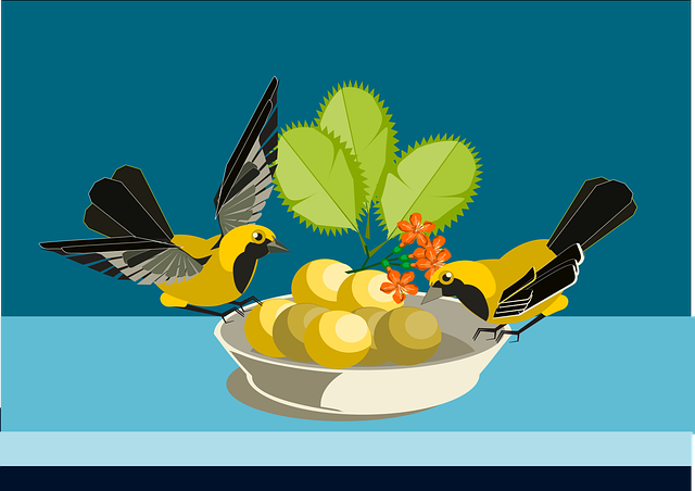 Vögel, Blumen Hintergrund, Schüssel